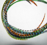 ���� Dry Fly (��� ����� ���) 10 �� ���� ������ ����� ������  , ������ � 14 - 12